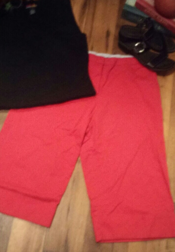 Briggs New York Capris
